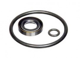 Fluke P5515SK Seal Kit-